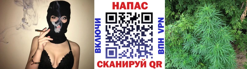 Наркошоп купить СОЛЬ  Марихуана  Меф  ГАШИШ  Димитровград